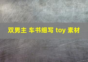 双男主 车书细写 toy 素材